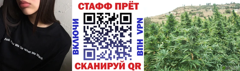 Где купить Трёхгорный ГАШИШ  А ПВП  МЕФ  ссылка на мегу зеркало  Cocaine  Канабис 