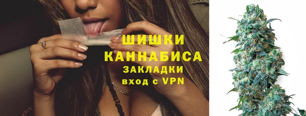 гашик Арсеньев