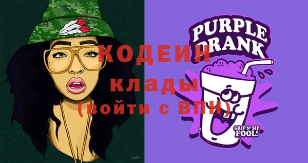 гашик Арсеньев