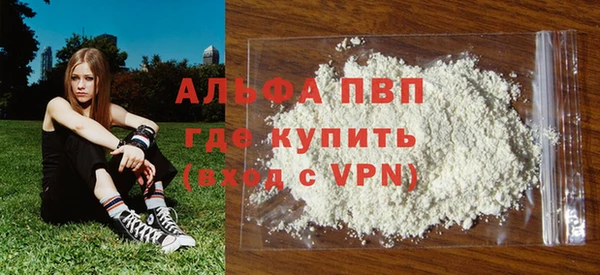 гашик Арсеньев