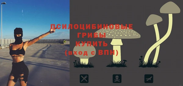 гашик Арсеньев