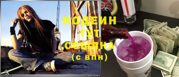 гашик Арсеньев