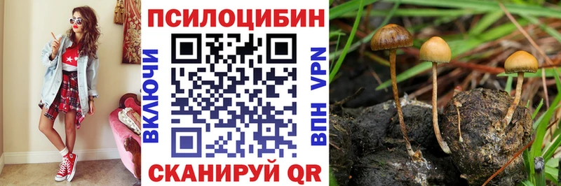 Галлюциногенные грибы мицелий  площадка формула  Трёхгорный 